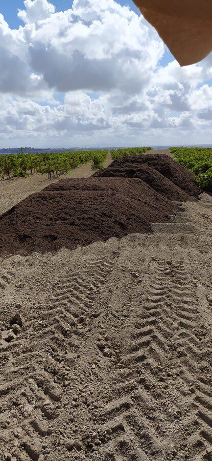 Parte del estiércol acumulado junto a una viña