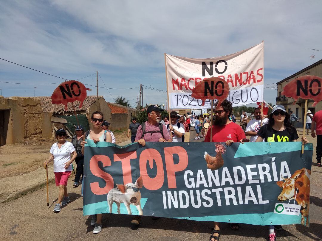 Manifestación contra las macrogranjas en la localidad de Cerecinos de Campos