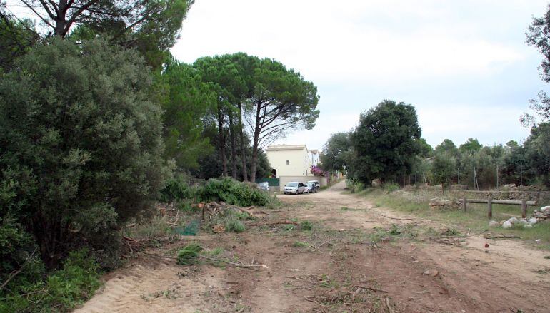 Alguns municipis no tenen el document i altres ja l'estan començant a aplicar.