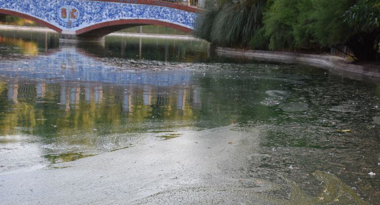 Suciedad lago de la Alameda