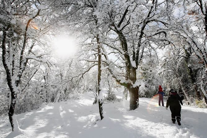 Intensa nevada en el alto de Erro (Navarra). La cota de nieve en la comunidad foral se sitoó el domingo en torno a los 600 metros, subiendo el lunes hasta los 1000 metros