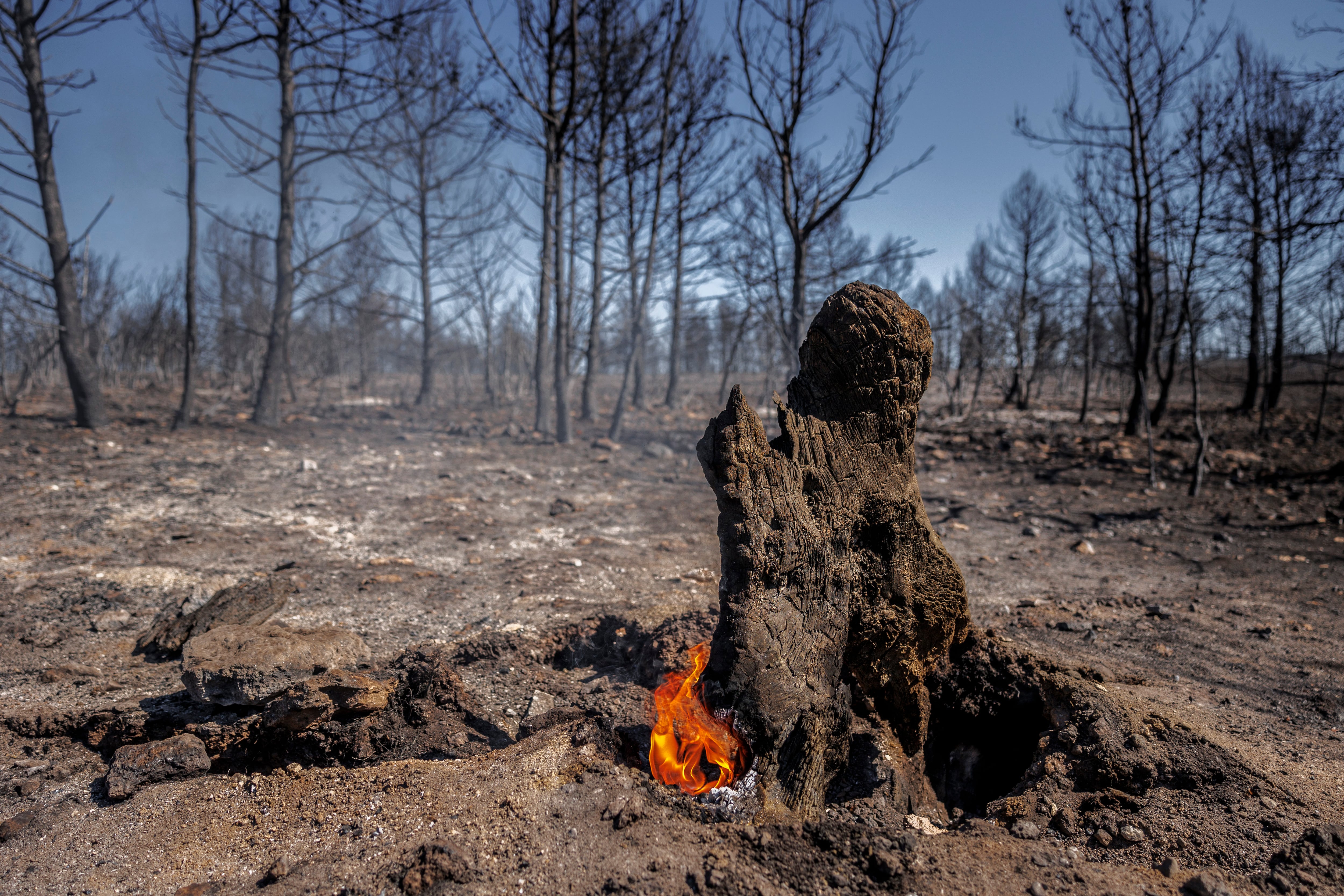 Vista general del paisaje tras el incendio forestal de Bejís, este sábado (EFE/Biel Aliño).