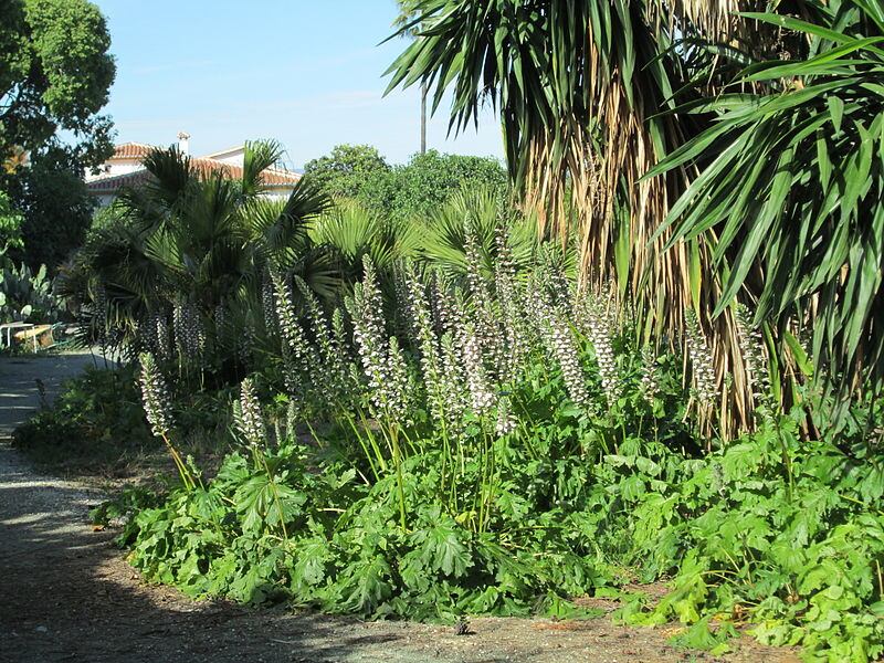 Jardín La Concepción