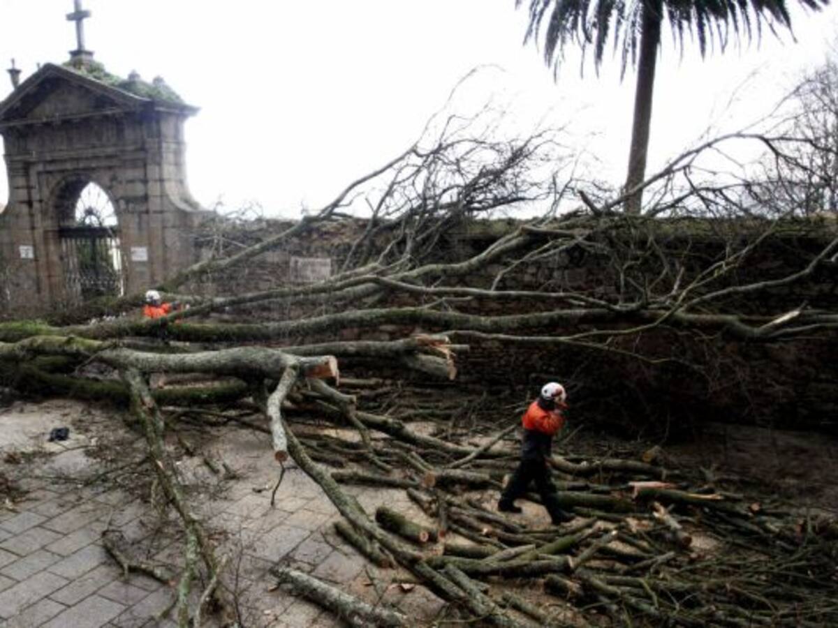 El temporal deja más de cien incidencias en tierra