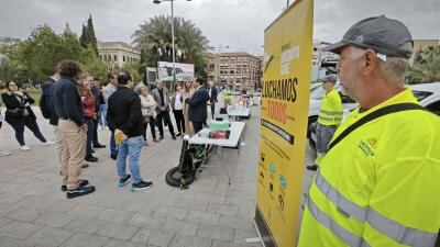 Campaña contra mosquito tigre en Murcia