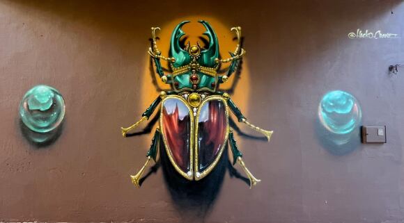 El escarabajo de Häcko Krâne