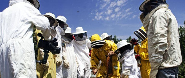 Diversos usuaris d&#039;un centre de menors, amb l&#039;apicultor Daniel Arrebola al mig, al voltant d&#039;un rusc d&#039;abelles a Prades.