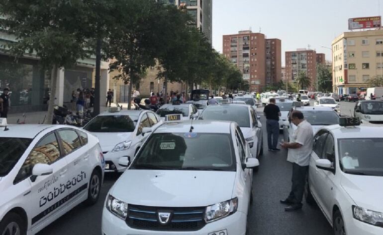 Manifestación contra la normativa 12+4 en Valencia