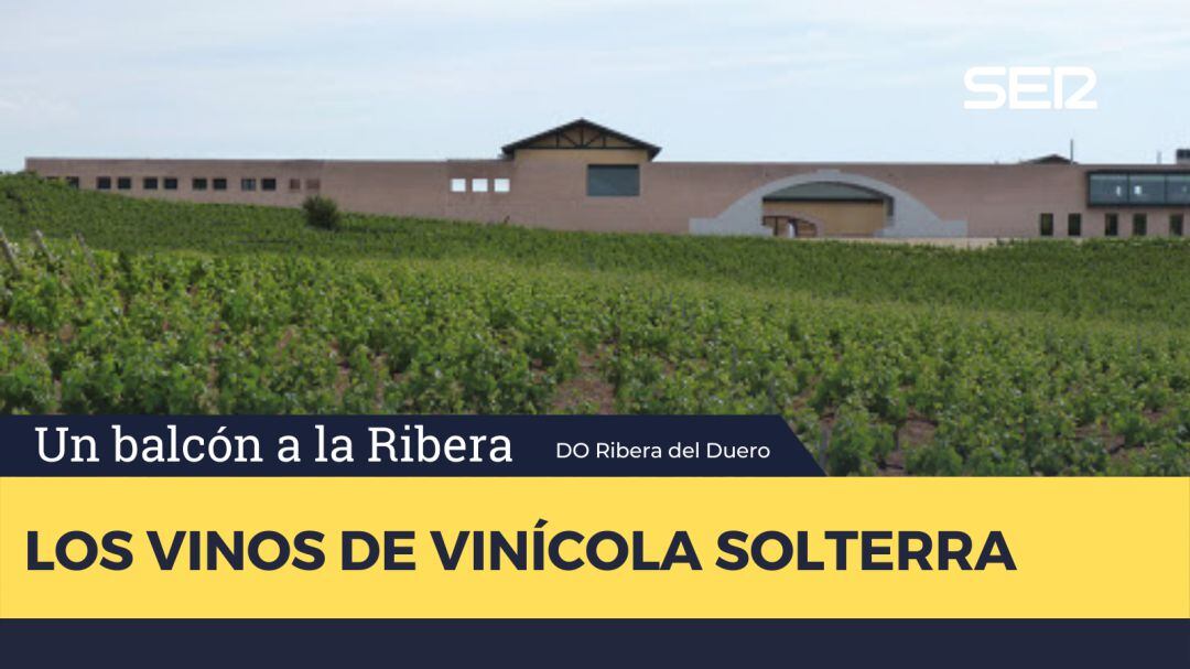 Vinícola Solterra