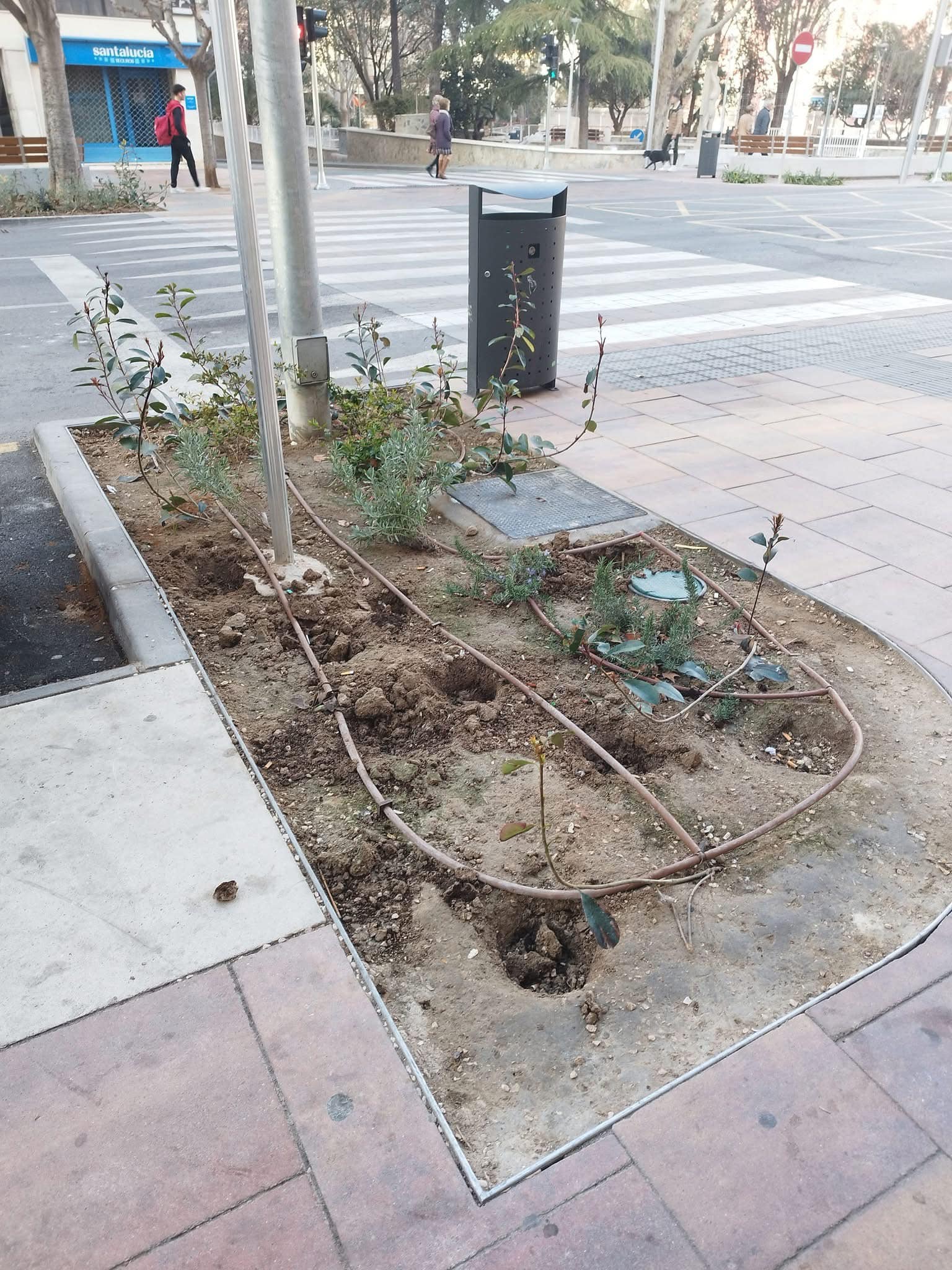 Daños en la zona ajardinada