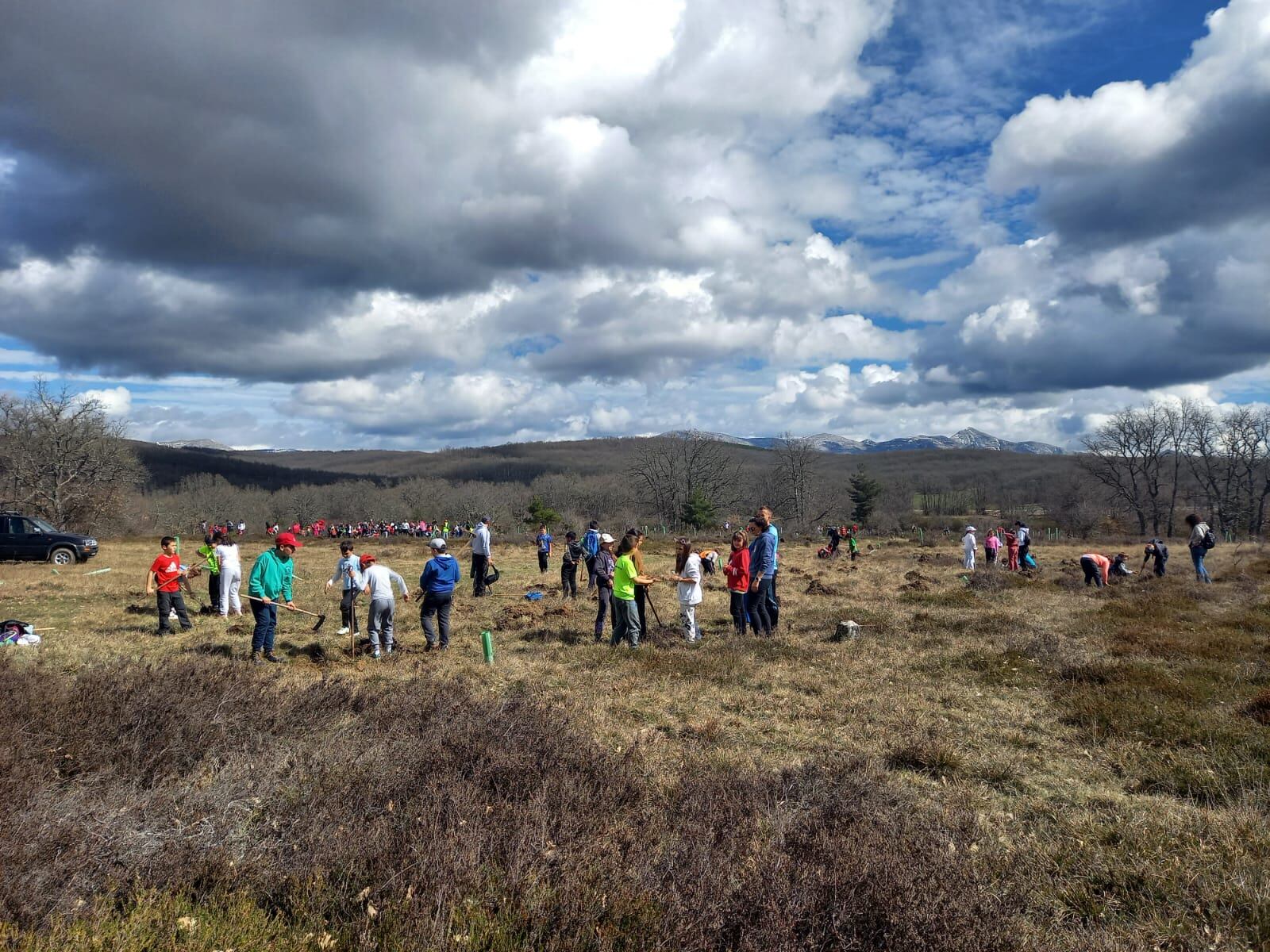 Imagen de la plantación