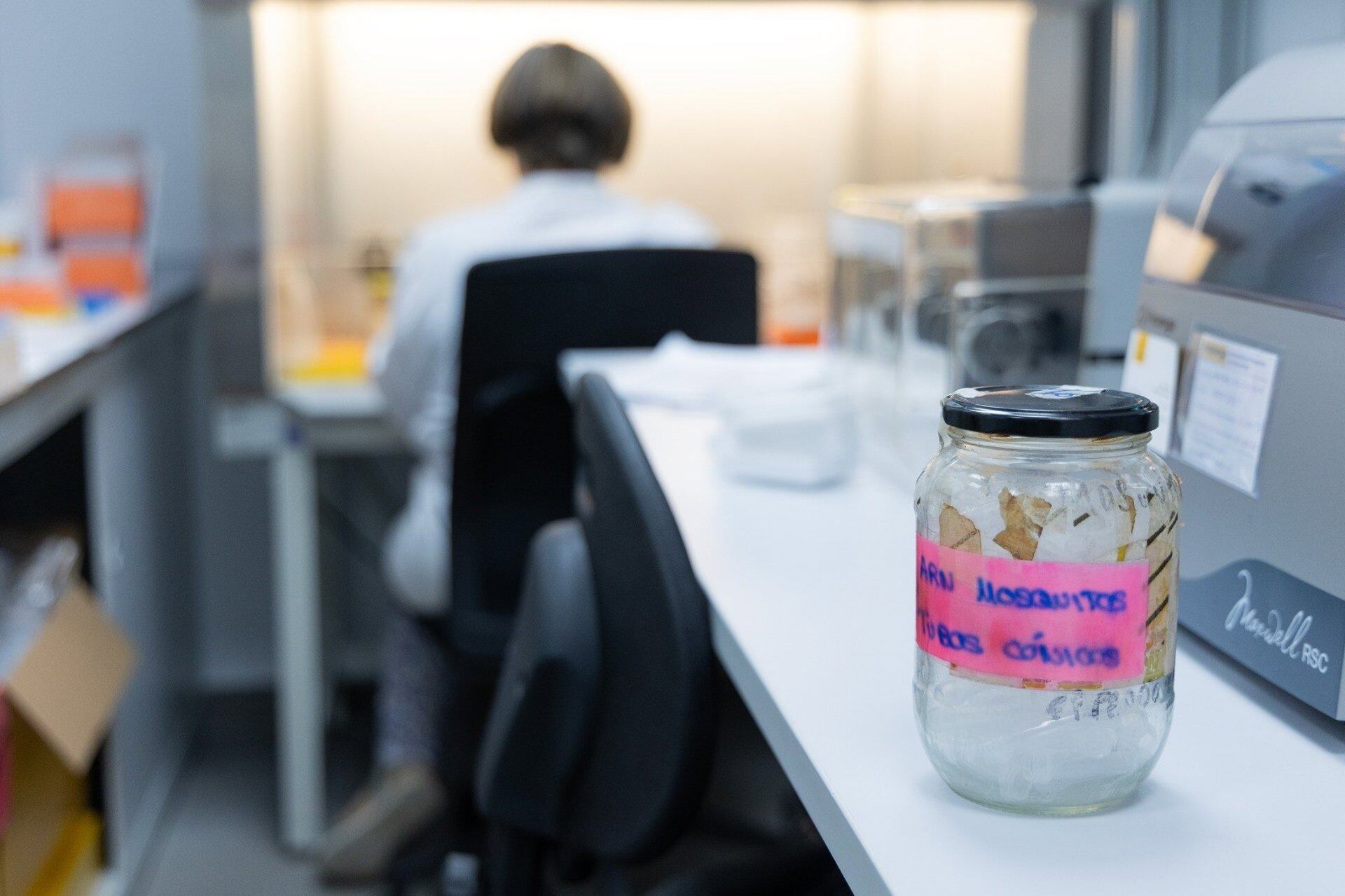 Archivo - Imagen de un frasco con muestra del virus del Nilo.- JUNTA DE ANDALUCÍA - Archivo