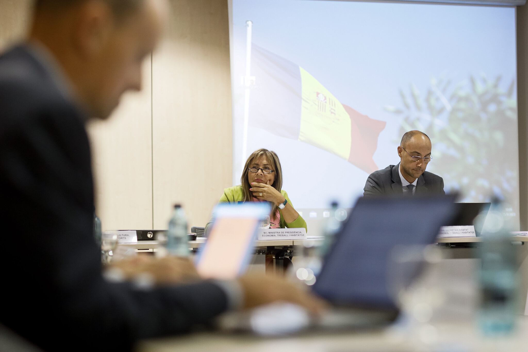 Conxita Marsol a la reunió del Consell Econòmic i Social de divendres.