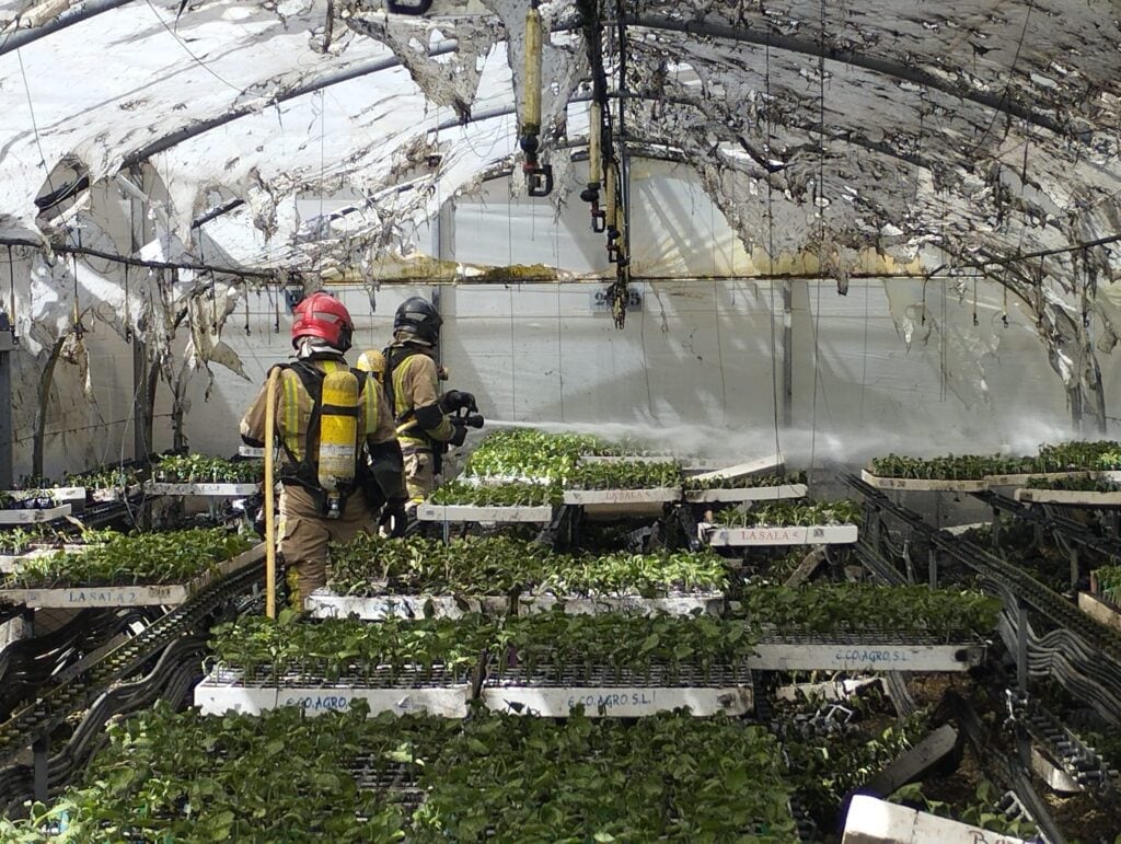 Incendio en un semillero de San Pedro del Pinatar