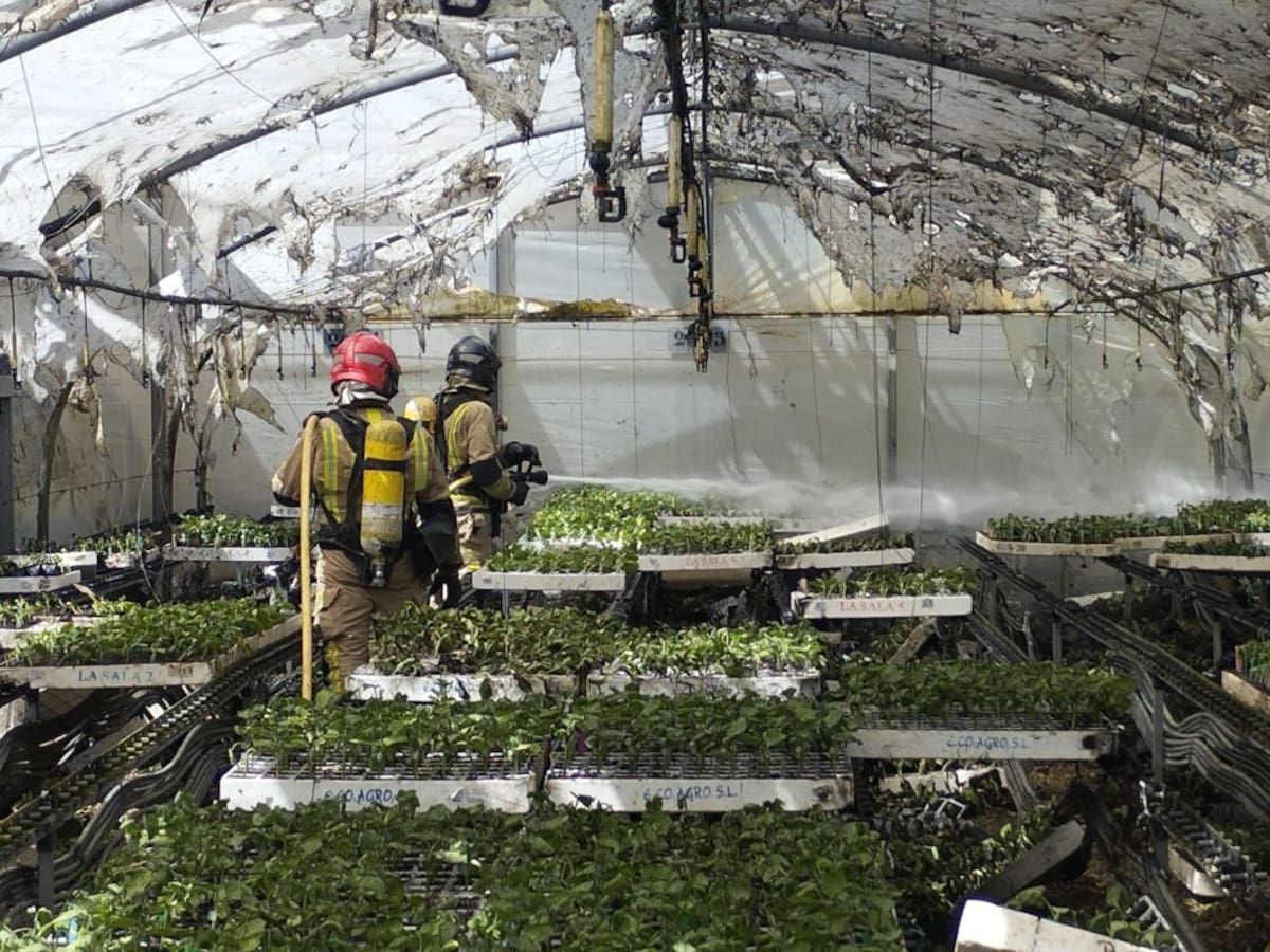 Los Bomberos extinguen el incendio de un almacén de semilleros en Lo Romero, en San Pedro del Pinatar