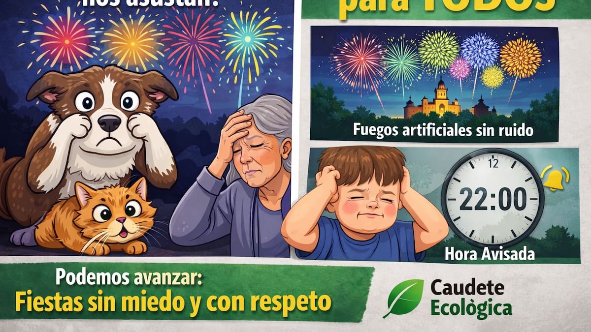 CAUDETE ECOLOGICA pide regular cohetes y petardos en las fiestas para afectar lo menos posible a los animales de compañía