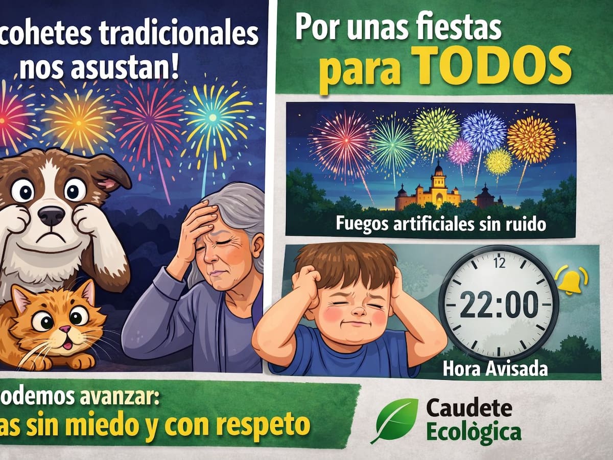 CAUDETE ECOLOGICA pide regular cohetes y petardos en las fiestas para afectar lo menos posible a los animales de compañía