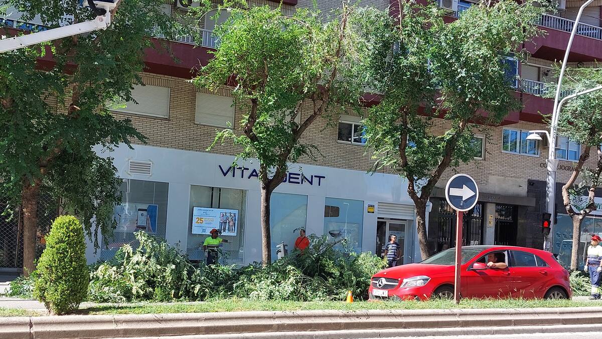 Ecologistas en Acción denuncian la agresiva poda de arbolado urbano en la Avenida de Andalucía en pleno mes de Julio y temperaturas de 40 grados.