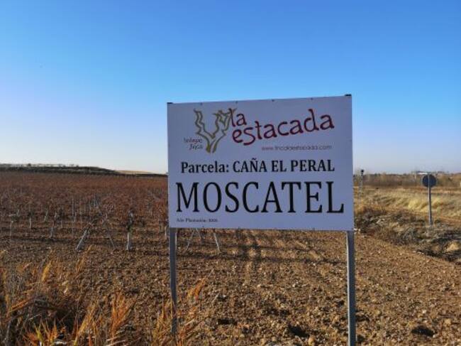 Entorno de viñedos en el paraje de Riánsares.