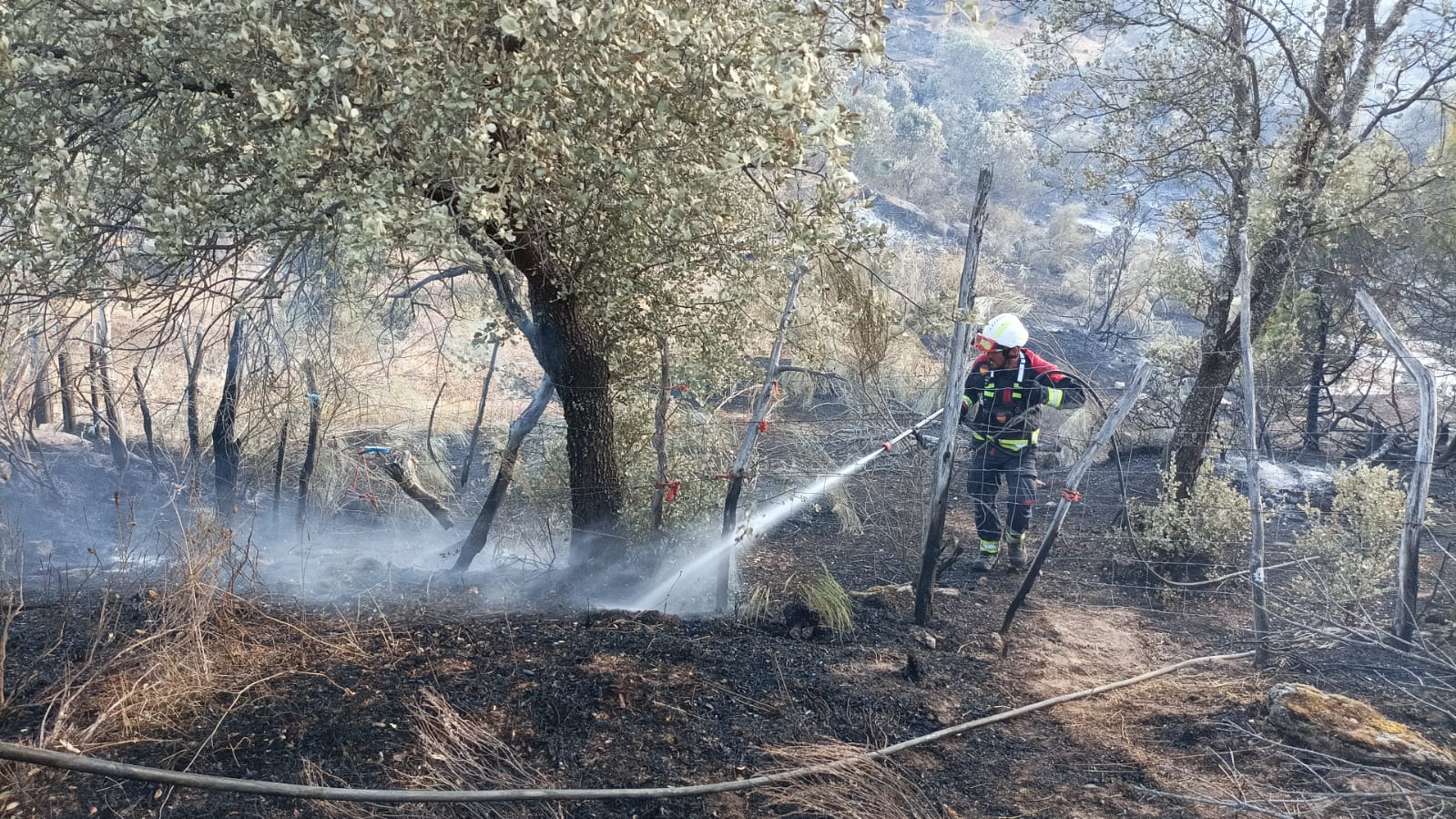 Bomberos voluntarios de La Adrada