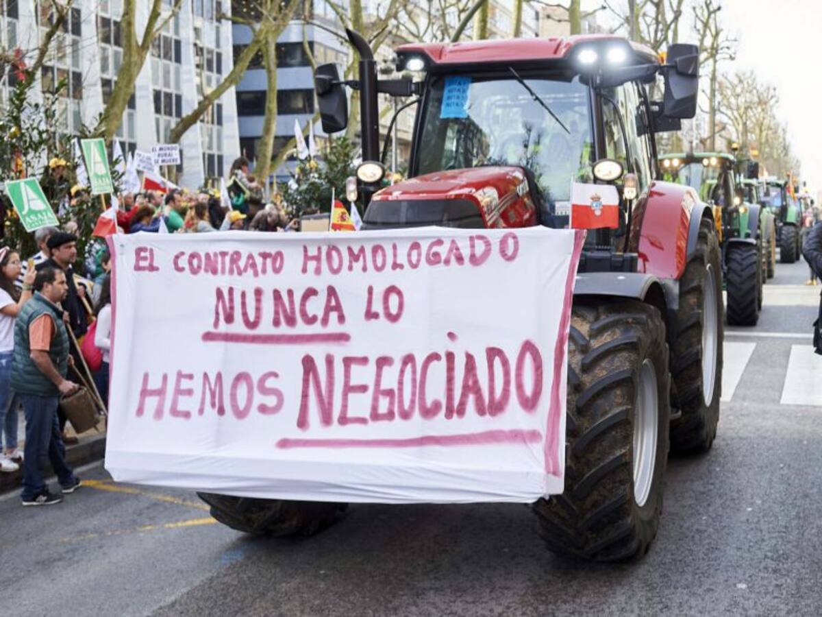 Sin recoger cosechas por los bajos precios de la aceituna y la cebolla