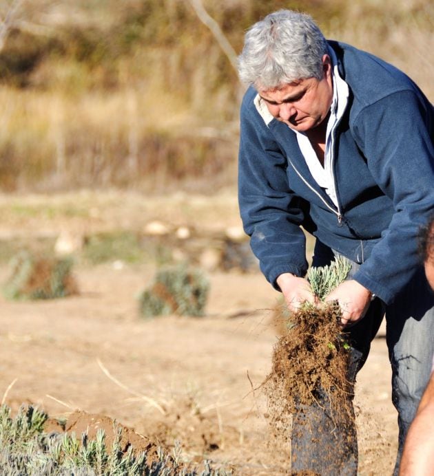 Andrés Corral Manzano, uno de los fundadores del Festival de la Lavanda