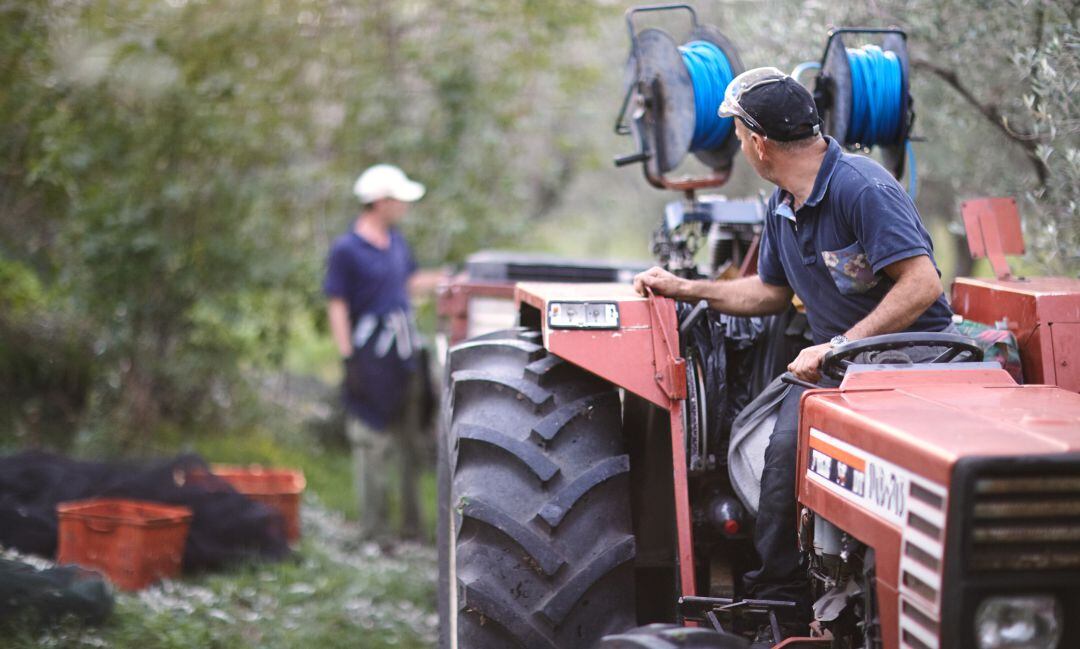 Dos personas trabajando en el campo.