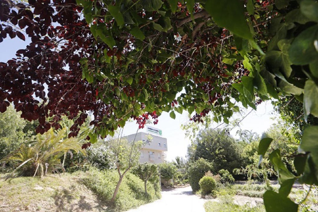 Residencia de mayores Jardines de Lliria de DomusVi