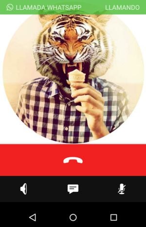 Apariencia de una llamada entrante por WhatsApp