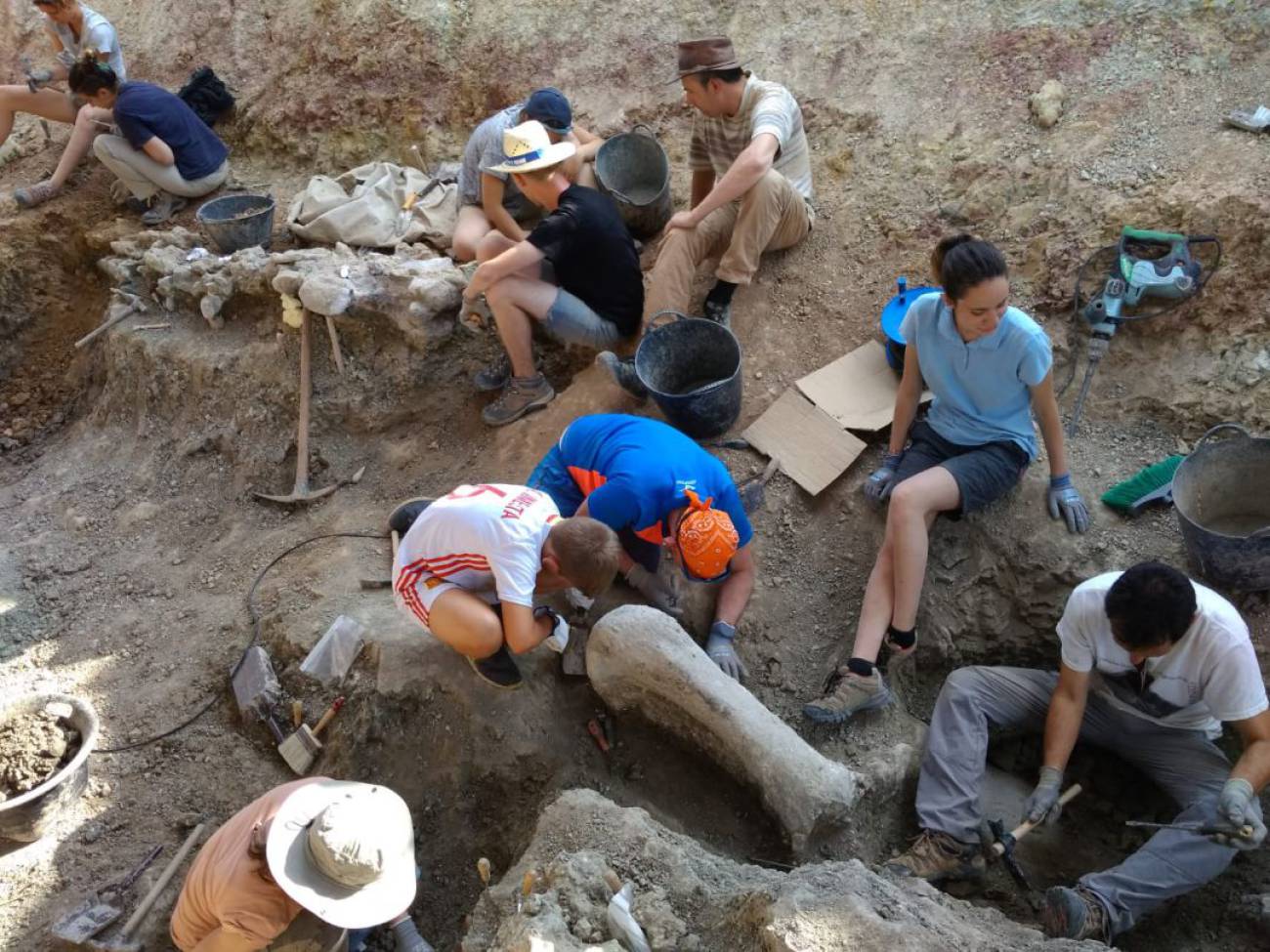 Profesionales trabajando en las excavaciones de Salas de los Infantes.