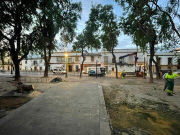 Operarios municipales retirando ramas de árboles