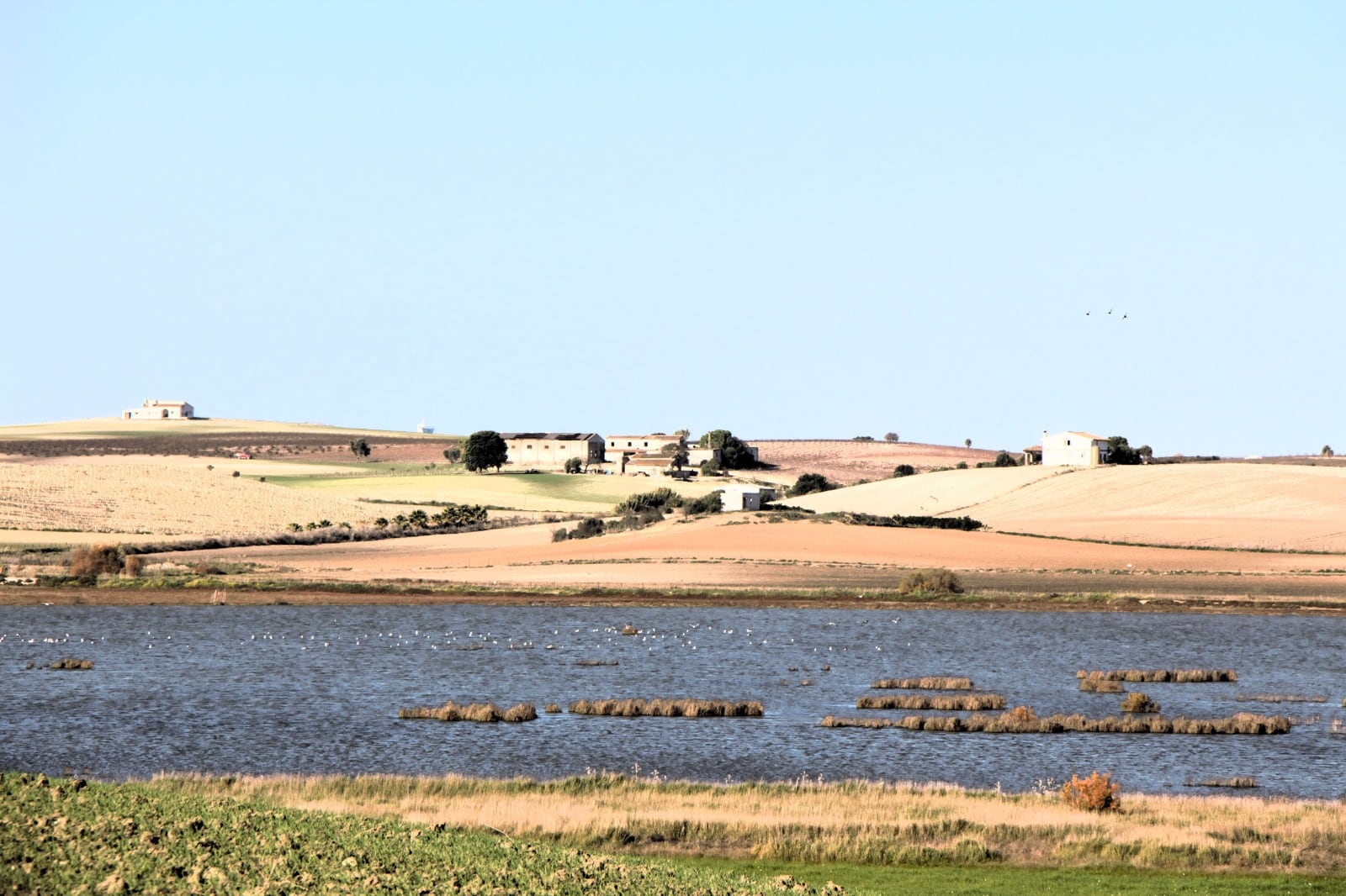 Recorrido por la Carrahola y la laguna de los Tercios en Jerez