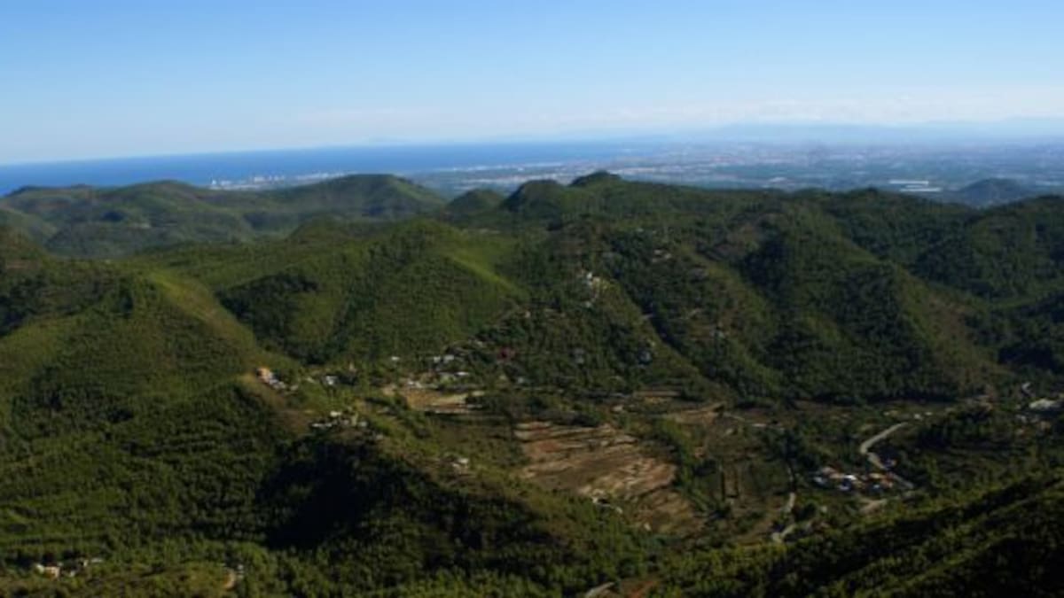 La Calderona estrena maratón