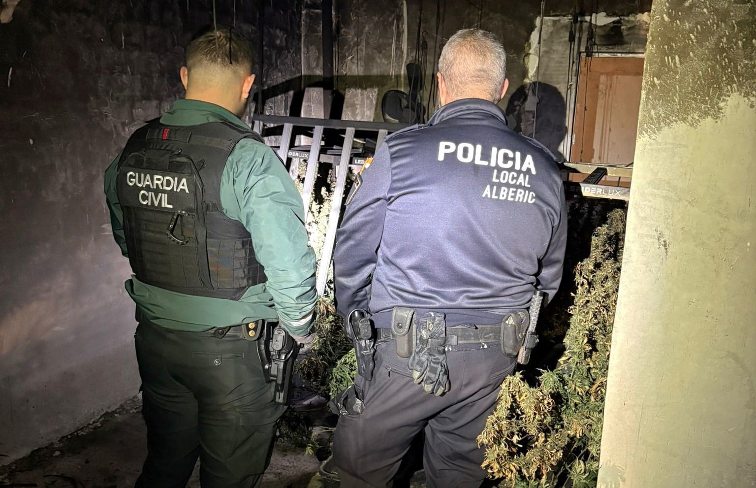 Intervención en Alberic