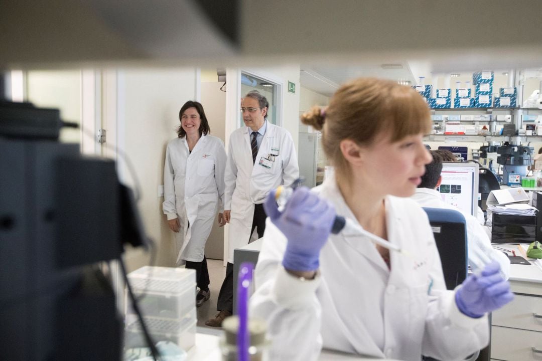 Una investigadora trabaja en un laboratorio español para frenar el cáncer de hígado. 