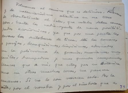 Guion escrito por Maximilano Thous en 1933 sobre La Albufera 4-6