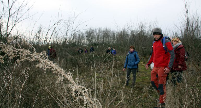 Imatge de voluntaris que busquen entre la malesa alguna pista de Joan Altisent al voltant del centre assistencial d'Almacelles on residia. Imatge del 3 de gener del 2015