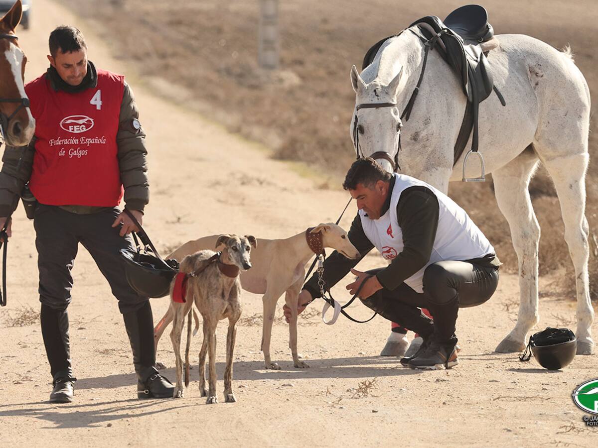 Las rondas finales del Campeonato de España de Galgos, en Madrigal, se vuelven a a aplazar por la meteorología adversa