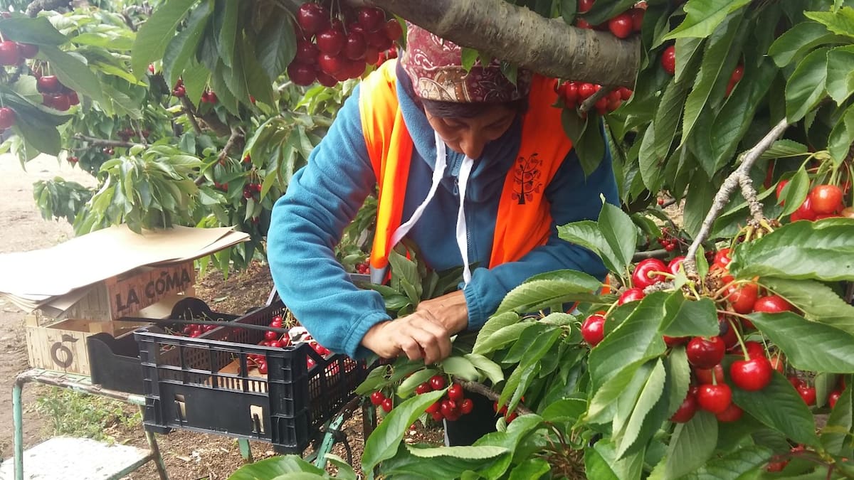 La Seguridad Social registró 18.609 ocupados extranjeros en agosto en la provincia de Huesca