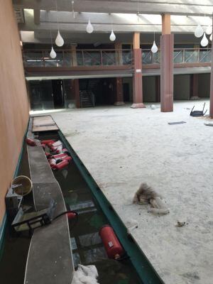 Así está el edificio de los Depósitos de la Fiesta del Árbol