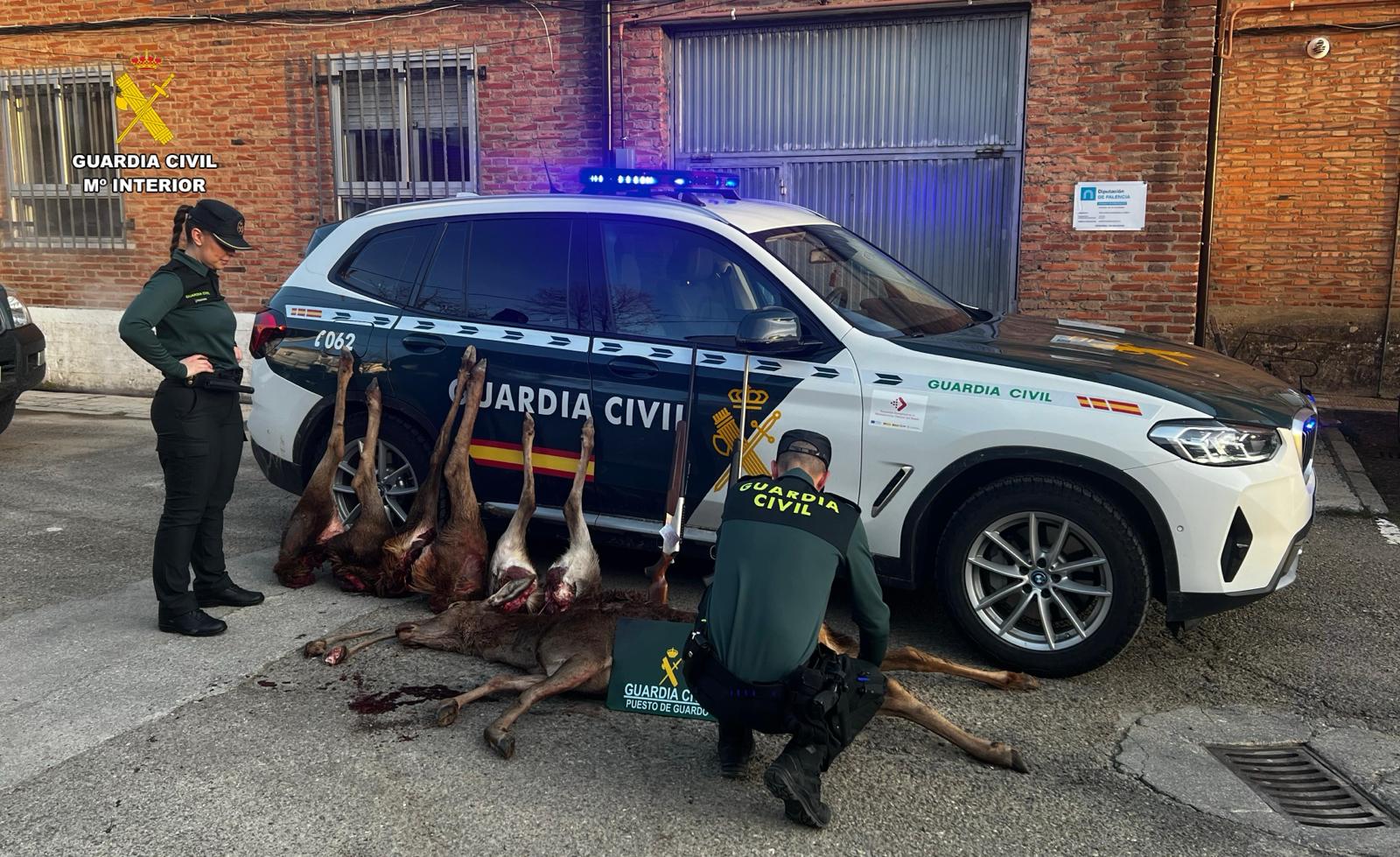 Sorprendidos cuatro cazadores furtivos en un coto de la montaña palentina