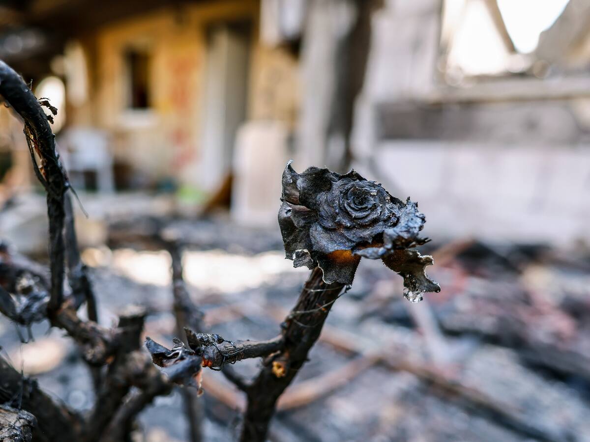 Najat El Hachmi: "¿Quién hablará la lengua de la paz?"