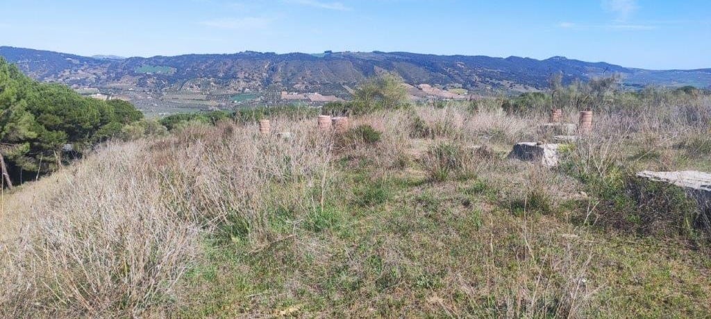 Zona de Lagar de Oliveros