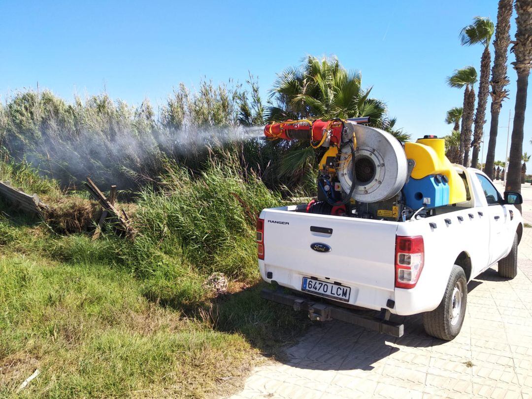 Tratamiento contra mosquitos en Burriana