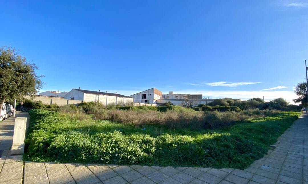 Alaior ofereix aquesta parcela municipal pel nou geriàtric i centre de dia.