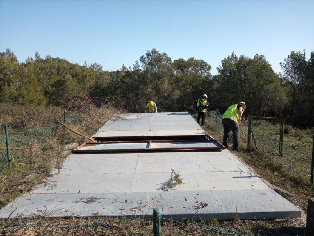 Les ADF fan feines de prevenció a bosc que són d'ajuda en la lluita contra els incendis. Imatge d'arxiu.