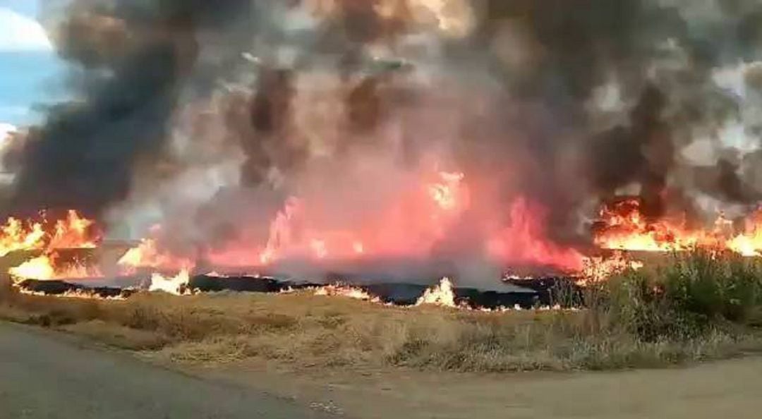 Incendio forestal en Frechilla