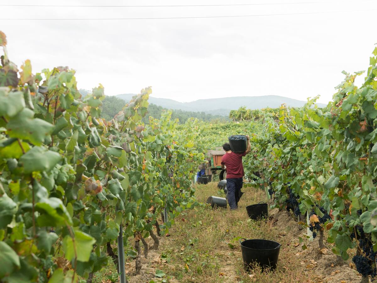 A Coruña Opina: Vivir en el rural gallego, oportunidades reales frente al reto demográfico y la falta de servicios