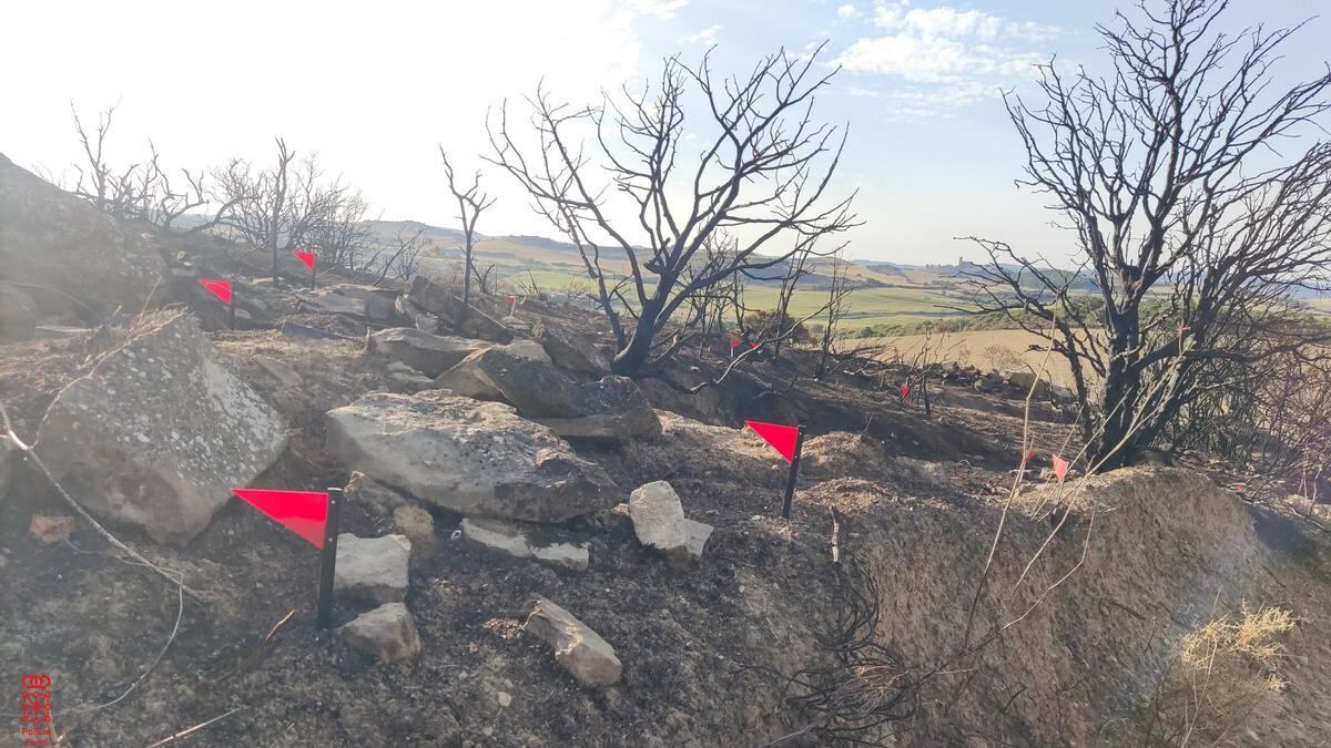 Punto de inicio del incendio que afectó en agosto a una parte de Valdizarbe