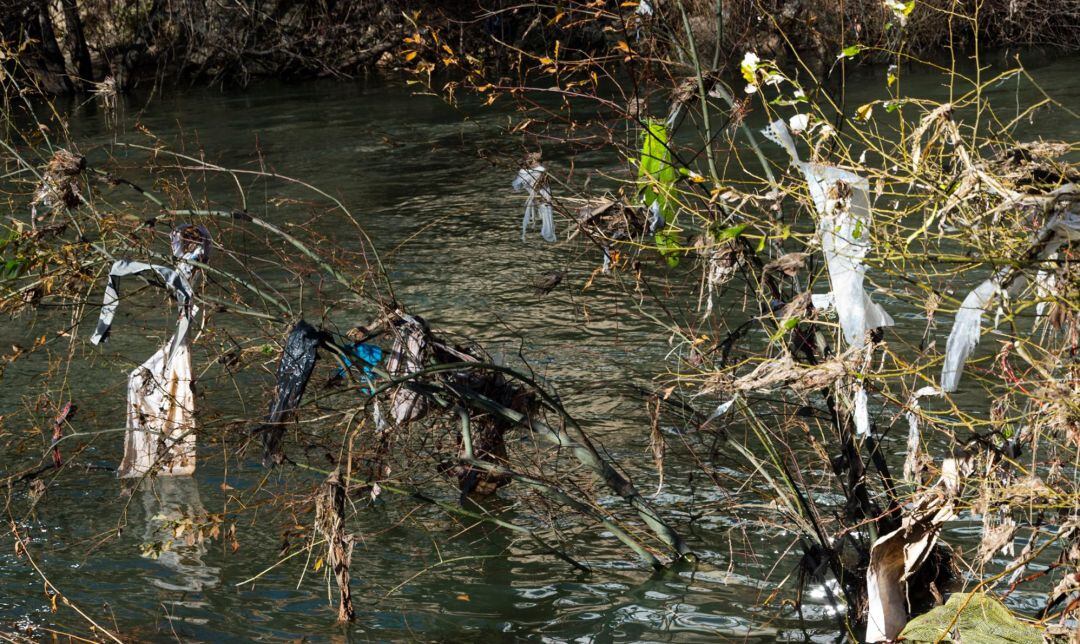 La crecida del Júcar ha dejado miles de plásticos en la ribera a su paso por Cuenca.